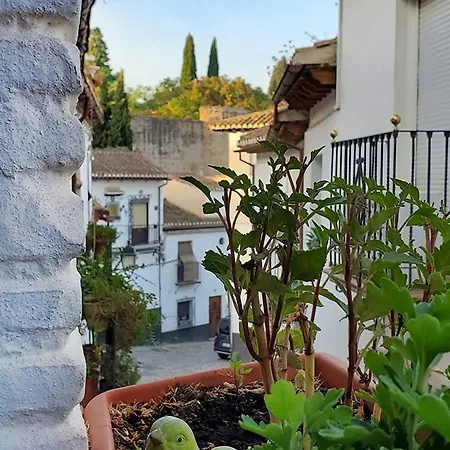 Banos Del Agua בית נופש גרנדה